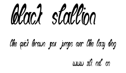 Black Stallion.ttf字體轉換器圖片