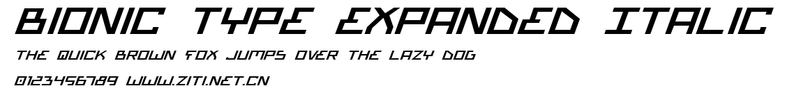 Bionic Type Expanded Italic.ttf