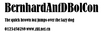 BernhardAntDBolCon.ttf字體轉換器圖片