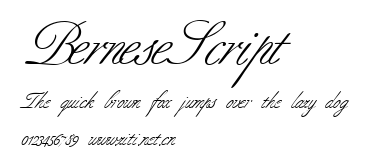 BerneseScript.ttf