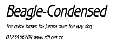 Beagle-Condensed.ttf