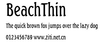 BeachThin.ttf字體轉換器圖片