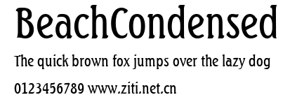 BeachCondensed.ttf字體轉換器圖片