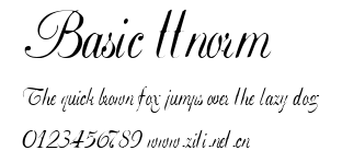 Basic ttnorm.ttf字體轉換器圖片