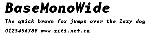BaseMonoWide.ttf