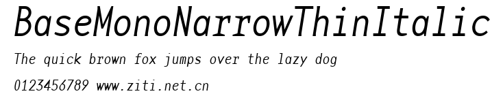 BaseMonoNarrowThinItalic.ttf