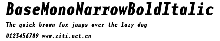 BaseMonoNarrowBoldItalic.ttf字體轉換器圖片