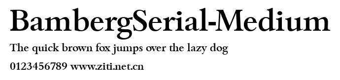 BambergSerial-Medium.ttf字體轉換器圖片