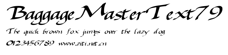 BaggageMasterText79.ttf字體轉換器圖片