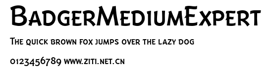 BadgerMediumExpert.ttf字體轉換器圖片