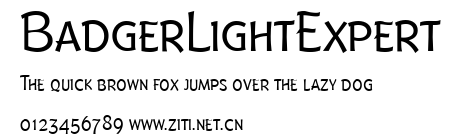 BadgerLightExpert.ttf