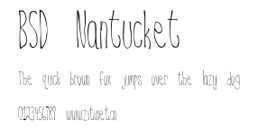 BSD Nantucket.ttf字體轉換器圖片