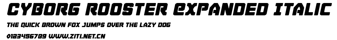 Cyborg Rooster Expanded Italic.ttf字體轉換器圖片
