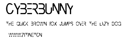 CyberBunny.ttf