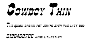 Cowboy Thin.ttf