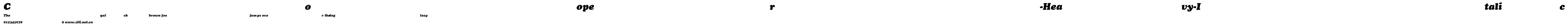 Cooper-Heavy-Italic.ttf字體轉換器圖片