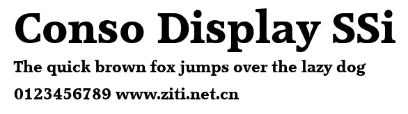 Conso Display SSi.ttf字體轉換器圖片