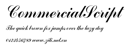 CommercialScript.ttf字體轉換器圖片