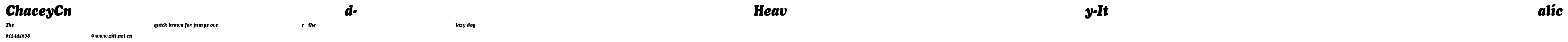 ChaceyCnd-Heavy-Italic.ttf字體轉換器圖片