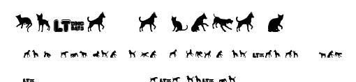 Cats vs Dogs LT.ttf字體轉換器圖片