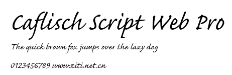 Caflisch Script Web Pro.ttf
