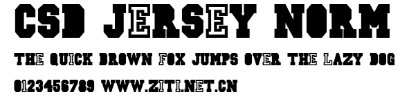 CSD-JERSEY-Norm.ttf字體轉換器圖片