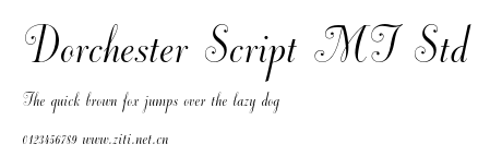 Dorchester Script MT Std.otf