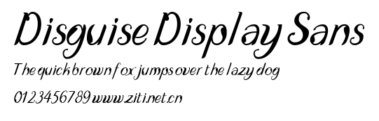 Disguise Display Sans.otf