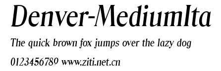 Denver-MediumIta.ttf字體轉換器圖片