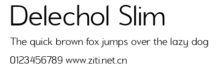 Delechol Slim.ttf字體轉換器圖片