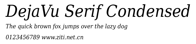 DejaVu Serif Condensed.ttf字體轉換器圖片