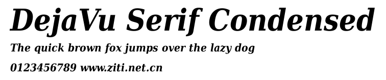 DejaVu Serif Condensed.ttf字體轉換器圖片