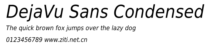 DejaVu Sans Condensed.ttf字體轉換器圖片