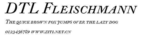 DTL Fleischmann.ttf字體轉換器圖片