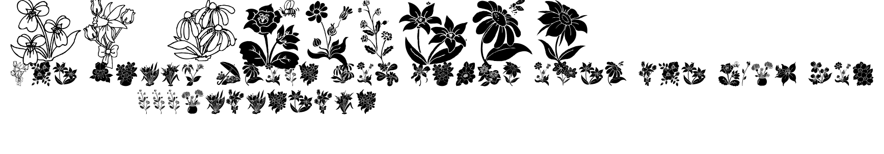 DT Flowers 2.ttf字體轉換器圖片