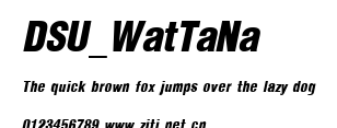 DSU_WatTaNa.ttf字體轉換器圖片