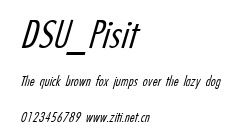 DSU_Pisit.ttf字體轉換器圖片