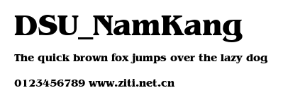 DSU_NamKang.ttf字體轉換器圖片