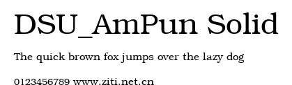 DSU_AmPun Solid.ttf字體轉換器圖片