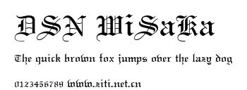 DSN WiSaKa.ttf字體轉換器圖片