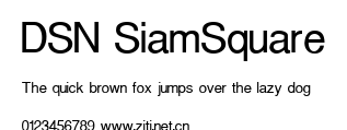 DSN SiamSquare.ttf字體轉換器圖片