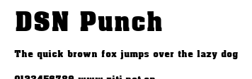 DSN Punch.ttf字體轉換器圖片