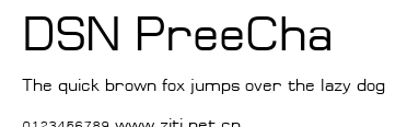 DSN PreeCha.ttf字體轉換器圖片