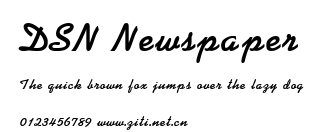 DSN Newspaper.ttf字體轉換器圖片
