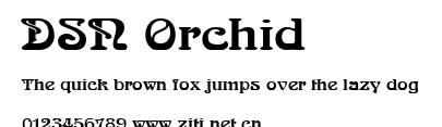 DSN Orchid.ttf字體轉換器圖片