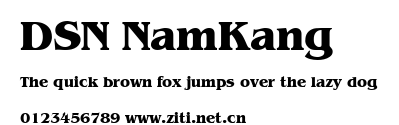 DSN NamKang.ttf字體轉換器圖片