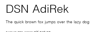 DSN AdiRek.ttf字體轉換器圖片