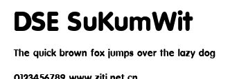 DSE SuKumWit.ttf字體轉換器圖片