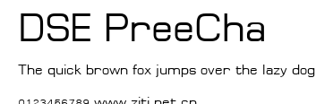 DSE PreeCha.ttf字體轉換器圖片