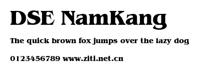 DSE NamKang.ttf字體轉換器圖片